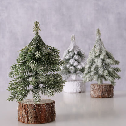 Christmas tree Senja Fir 15cm 