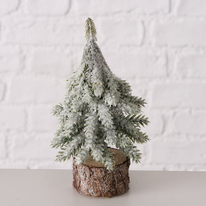 Christmas tree Senja Fir 15cm 