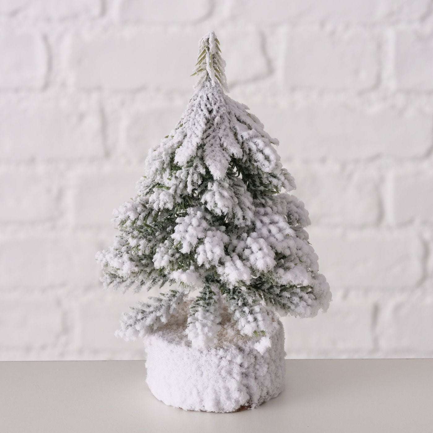 Christmas tree Senja Fir 15cm 