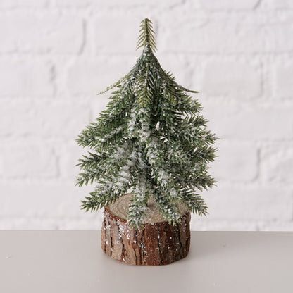 Christmas tree Senja Fir 15cm 