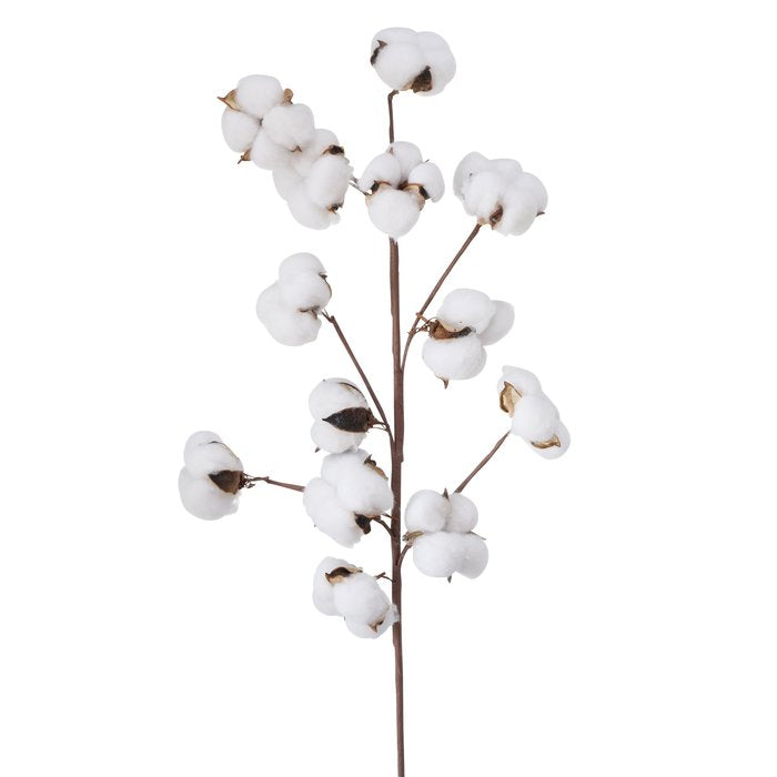 decorative branch cotton 