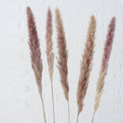 Decorative branch Pampas grass 6 pcs. 